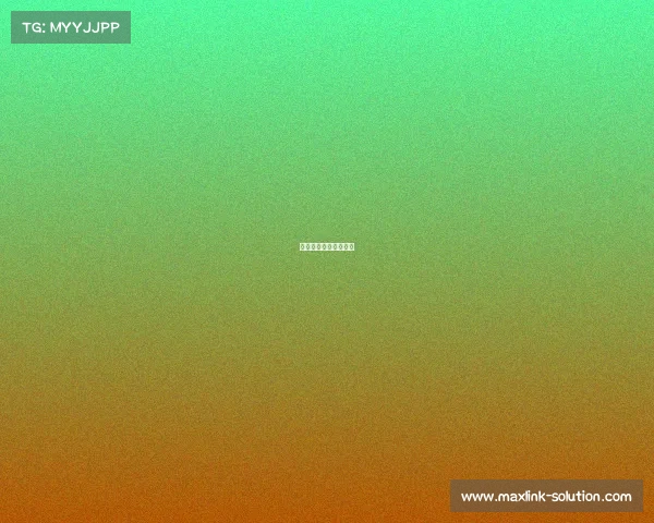 《星光下的荣耀征途》