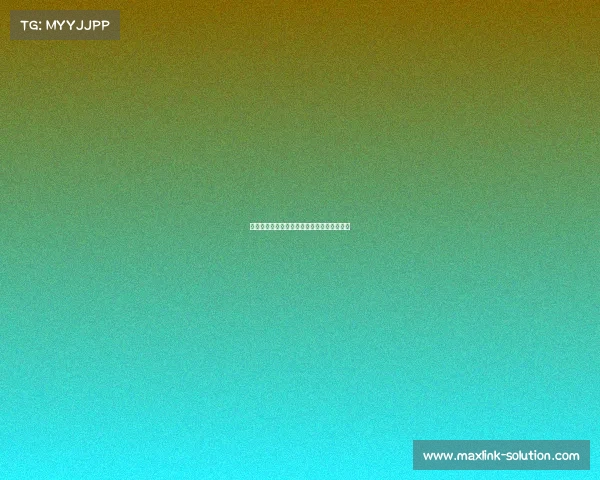 两只猫的电子竞技馆、两只猫对战的游戏双人