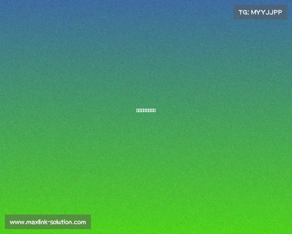 石狮电子城在哪里