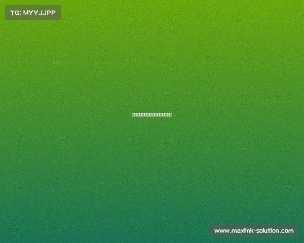 飞社长电子竞技、飞社长在哪个平台